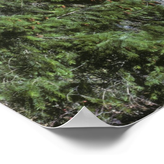 VS, Oregon. Een ophaling die de Poster (Hoek)