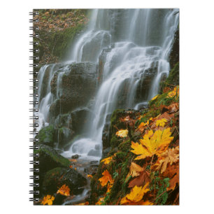 VS, Oregon, Fairy Falls, Columbia River Gorge Notitieboek