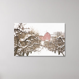 VS, Oregon, Hood River. Sneeuw bedekte appel Canvas Afdruk
