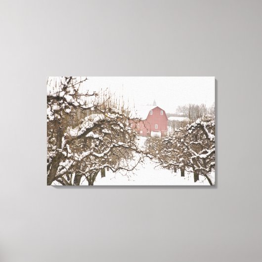 VS, Oregon, Hood River. Sneeuw bedekte appel Canvas Afdruk (Voorkant)