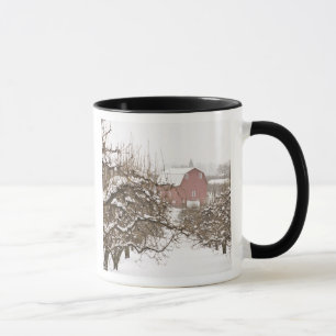 VS, Oregon, Hood River. Sneeuw bedekte appel Mok