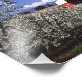 VS, Oregon, Hood River Valley, Perenboomgaard Foto Afdruk (Hoek)