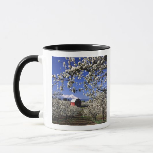 VS, Oregon, Hood River Valley, Perenboomgaard Mok (Links)
