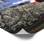 VS, Oregon, Hood River Valley, Perenboomgaard Poster (Hoek)