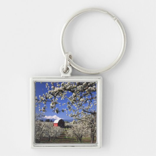 VS, Oregon, Hood River Valley, Perenboomgaard Sleutelhanger (Voorkant)