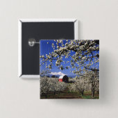 VS, Oregon, Hood River Valley, Perenboomgaard Vierkante Button 5,1 Cm (Voorkant /achterkant)