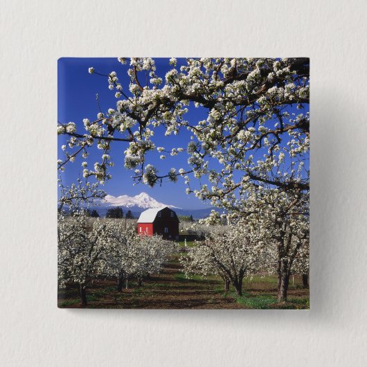 VS, Oregon, Hood River Valley, Perenboomgaard Vierkante Button 5,1 Cm (Voorkant)