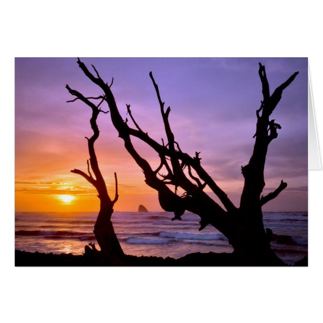 VS, Oregon, Kaap Meares. Zonsondergang (Voorkant Horizontaal)