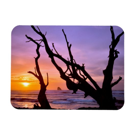 VS, Oregon, Kaap Meares. Zonsondergang Magneet (Horizontaal)