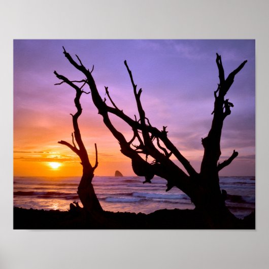 VS, Oregon, Kaap Meares. Zonsondergang Poster (Voorkant)