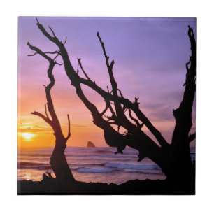 VS, Oregon, Kaap Meares. Zonsondergang Tegeltje