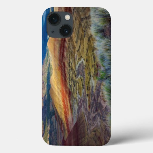 VS, Oregon. Landschap van de geverfde heuvels Case-Mate iPhone Case (Achterkant)