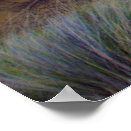 VS, Oregon. Landschap van de geverfde heuvels Poster (Hoek)