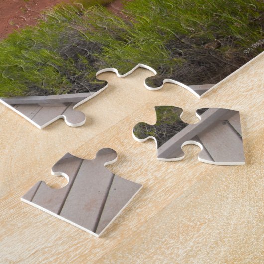 VS, Oregon, Mitchell, Pathway between Painted Legpuzzel (Zijkant)