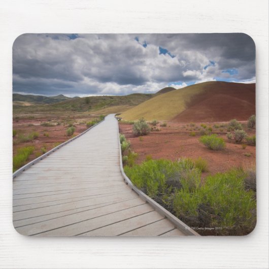 VS, Oregon, Mitchell, Pathway between Painted Muismat (Voorkant)