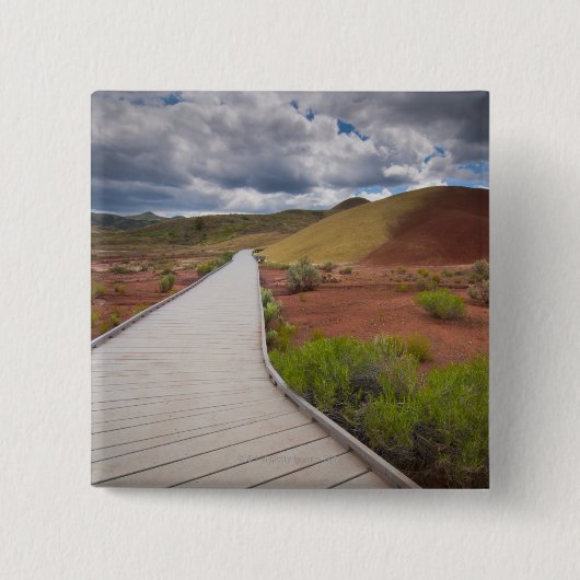 VS, Oregon, Mitchell, Pathway between Painted Vierkante Button 5,1 Cm (Voorkant)