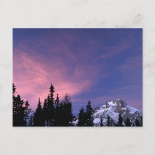 VS, Oregon, Mount Hood vanuit Timberline Briefkaart