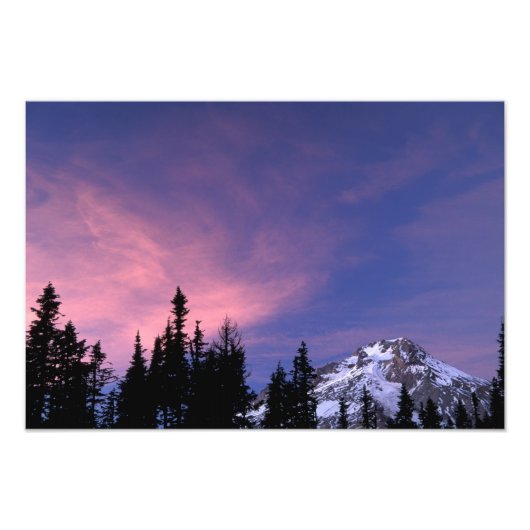 VS, Oregon, Mount Hood vanuit Timberline Foto Afdruk (Voorkant)