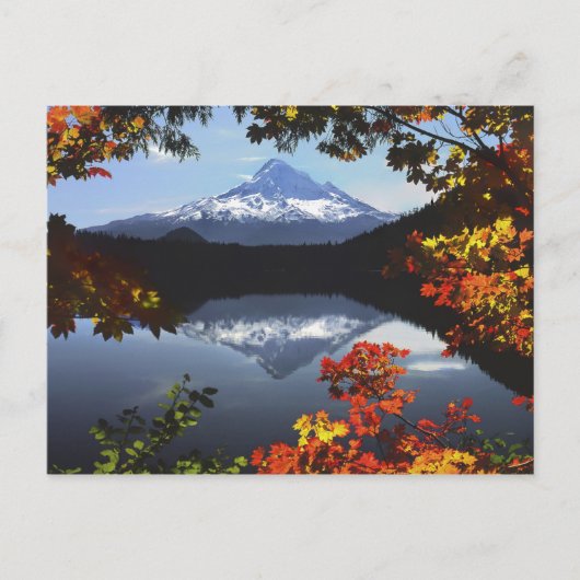 VS, Oregon, Mt. Hood National Forest. Briefkaart (Voorkant)