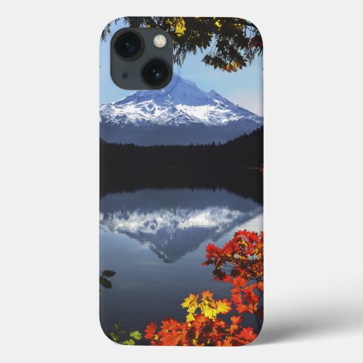 VS, Oregon, Mt. Hood National Forest. Case-Mate iPhone Case (Achterkant)