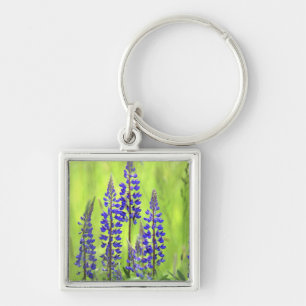 VS, Oregon, Mt. Hood National Forest, Lupine Sleutelhanger
