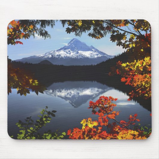 VS, Oregon, Mt. Hood National Forest. Muismat (Voorkant)