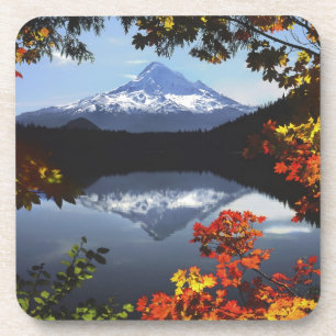 VS, Oregon, Mt. Hood National Forest. Onderzetter