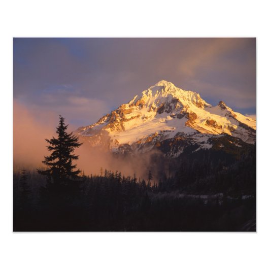 VS, Oregon, Mt. Hood National Forest. Rollend Foto Afdruk (Voorkant)