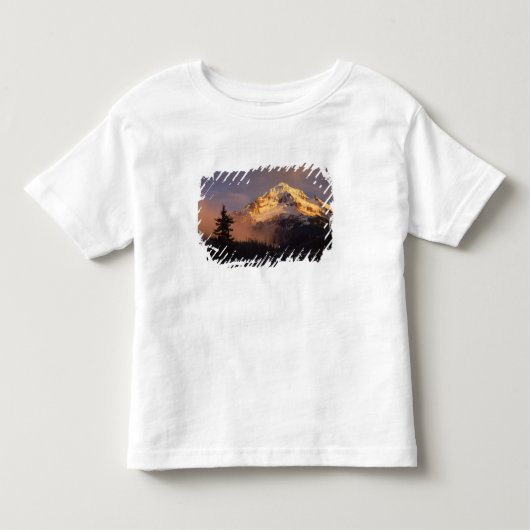 VS, Oregon, Mt. Hood National Forest. Rollend Kinder Shirts (Voorkant)