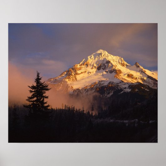 VS, Oregon, Mt. Hood National Forest. Rollend Poster (Voorkant)