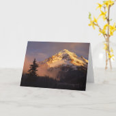 VS, Oregon, Mt. Hood National Forest. Rolling Kaart (Gele Bloem)