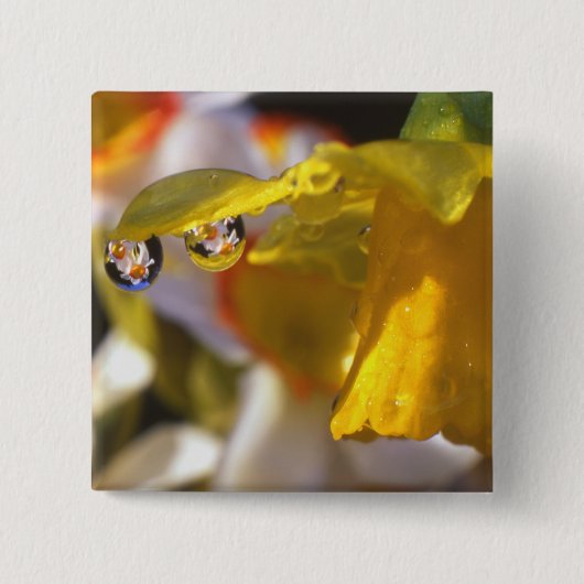VS, Oregon, Multnomah County, Close-up van Vierkante Button 5,1 Cm (Voorkant)