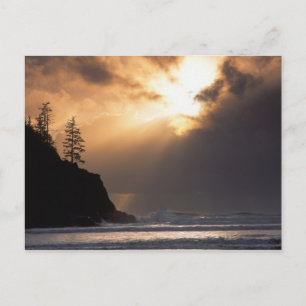 VS, Oregon, nabij Oswald West State Park, Laat Briefkaart