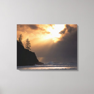 VS, Oregon, nabij Oswald West State Park, Laat Canvas Afdruk