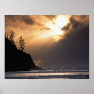VS, Oregon, nabij Oswald West State Park, Laat Poster