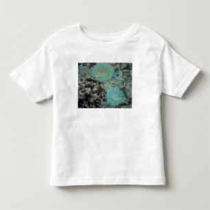 VS, Oregon, Nepture SP. Juweel getinte zee Kinder Shirts