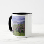 VS, Oregon, Nesika Beach. Lupine en Oregon Mok (Voorkant links)