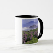 VS, Oregon, Nesika Beach. Lupine en Oregon Mok (Voorkant rechts)