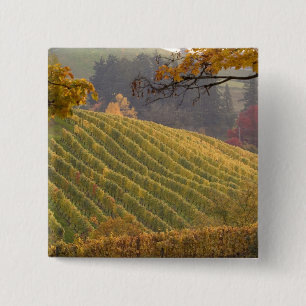 VS, Oregon, Newberg. Wijngaard in de herfst. Vierkante Button 5,1 Cm