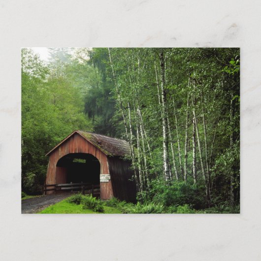 VS, Oregon. Overdekte brug over North Fork Briefkaart (Voorkant)