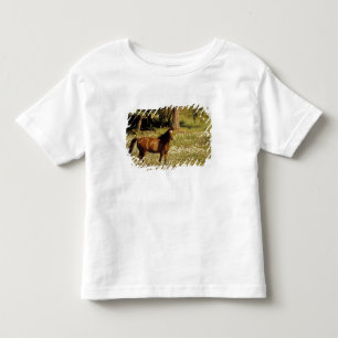 VS, Oregon. Paard in veld met madeliefjes Kinder Shirts