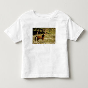 VS, Oregon. Paard in veld met madeliefjes Kinder Shirts