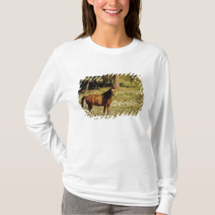 VS, Oregon. Paard in veld met madeliefjes T-shirt