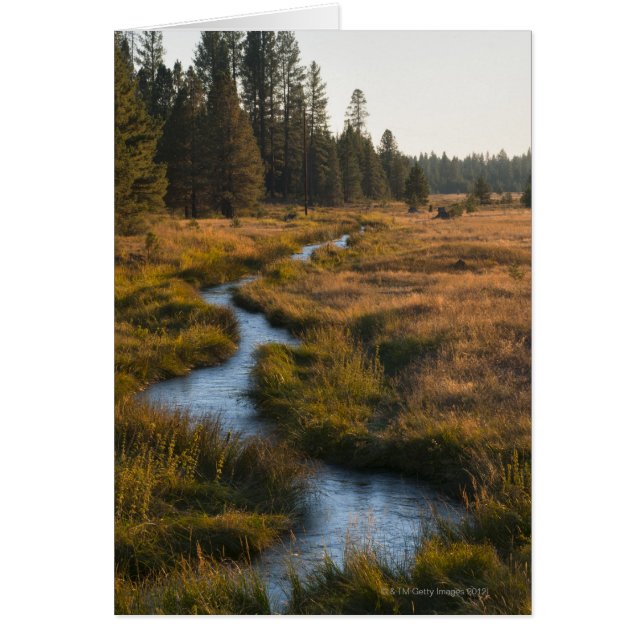 VS, Oregon, Paulina Creek (Voorkant)