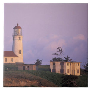 VS, Oregon, Port Orford Regio, Kaap Blanco Tegeltje
