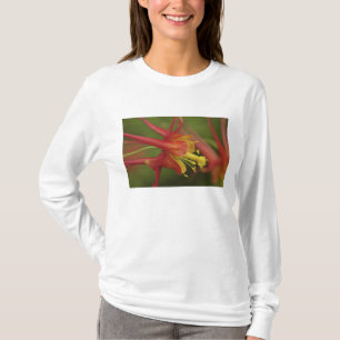 VS, Oregon, Portland. Close-up van akelei T-shirt