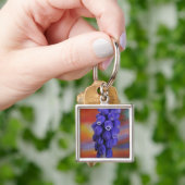 VS, Oregon, Portland. Close-up van blauwe druif Sleutelhanger (Hand)