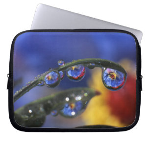 VS, Oregon, Portland, Close-up van lieveheersbeest Laptop Sleeve