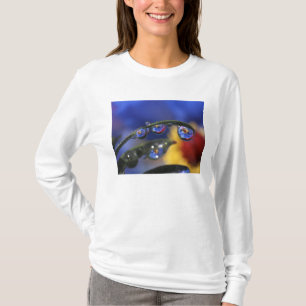 VS, Oregon, Portland, Close-up van lieveheersbeest T-shirt