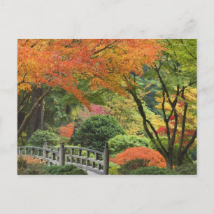 VS, Oregon, Portland. Houten brug en esdoorn Briefkaart